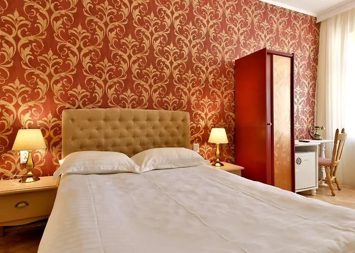 蒙特沃德之家旅馆 3* 布拉索夫