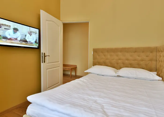 蒙特沃德之家旅馆 布拉索夫